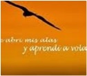 Colectivo Reflexion
